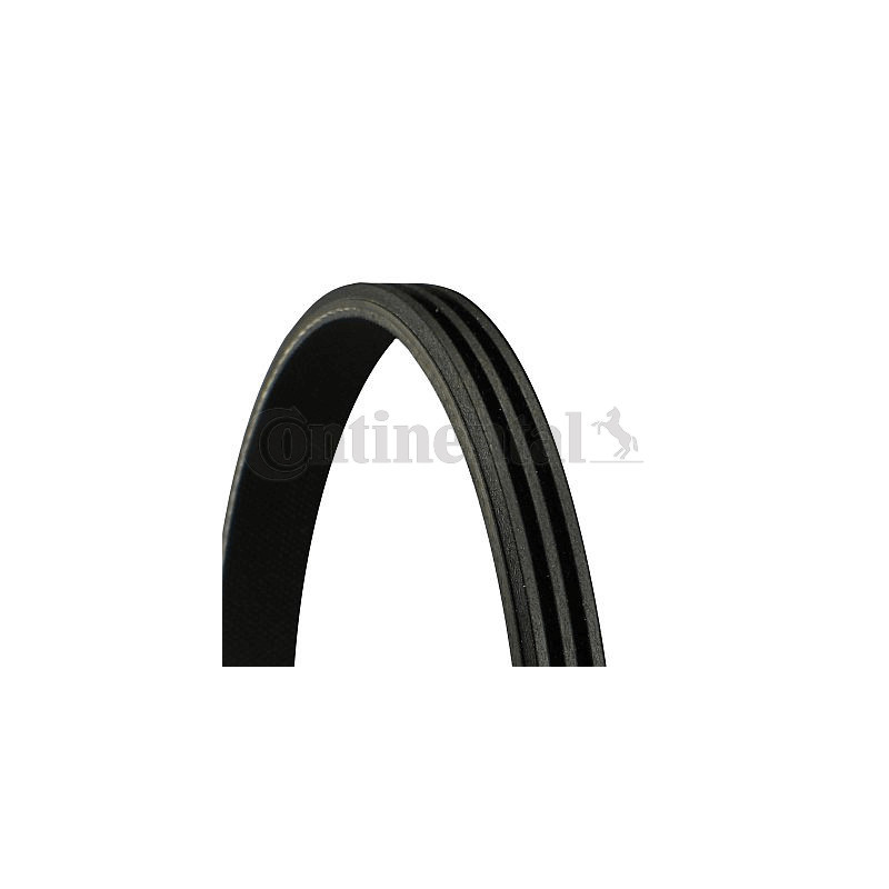 Courroie d'accessoire CONTINENTAL CTAM
