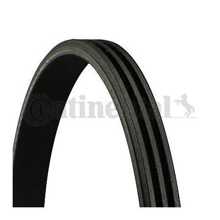 Courroie d'accessoire CONTINENTAL CTAM