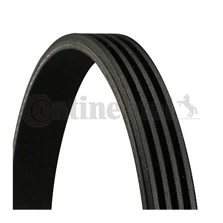 Courroie d'accessoire CONTINENTAL CTAM