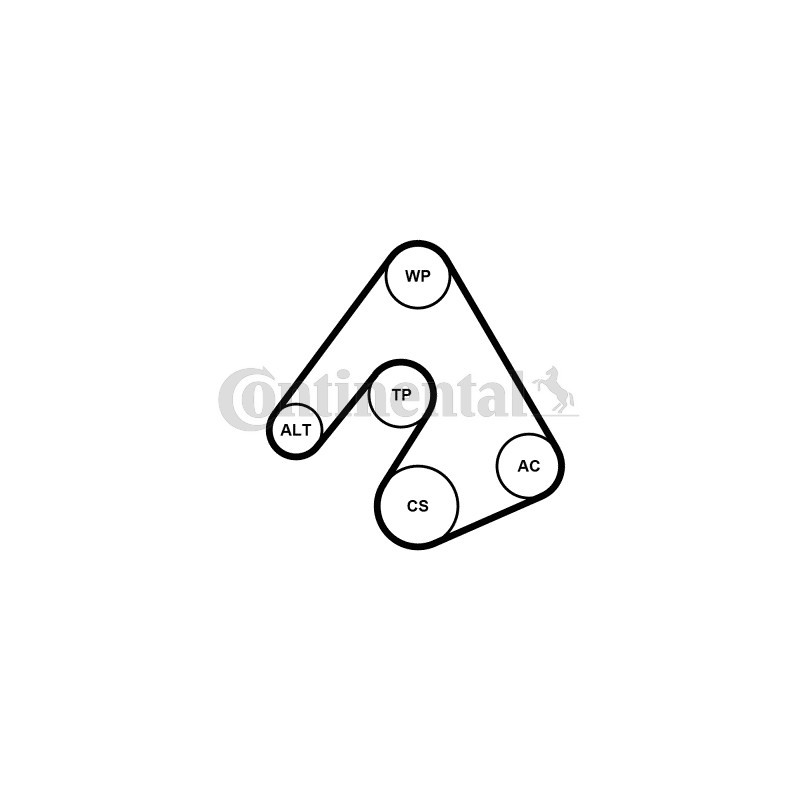 Kit de courroies d'accessoire CONTINENTAL CTAM