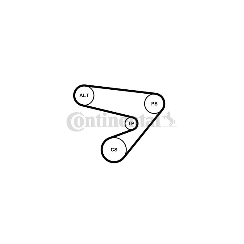Kit de courroies d'accessoire CONTINENTAL CTAM