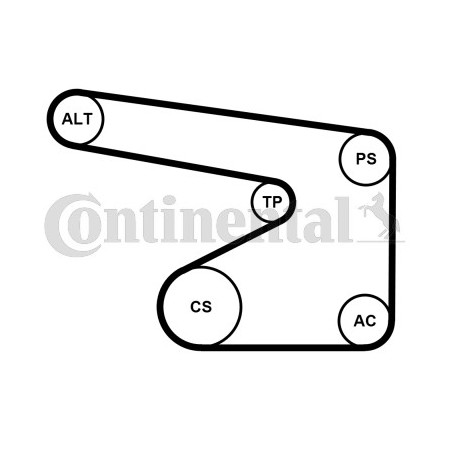 Kit de courroies d'accessoire CONTINENTAL CTAM