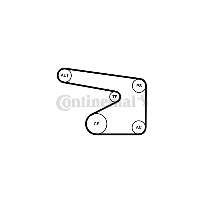 Pompe à eau+Jeu de courroie trapézoïdale à nervures CONTINENTAL CTAM