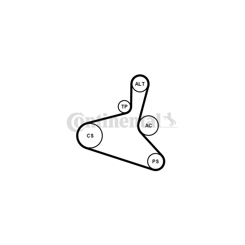 Kit de courroies d'accessoire CONTINENTAL CTAM