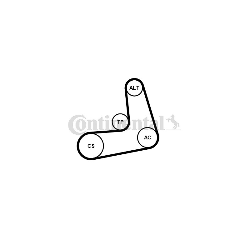 Kit de courroies d'accessoire CONTINENTAL CTAM