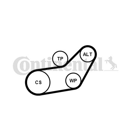 Kit de courroies d'accessoire CONTINENTAL CTAM