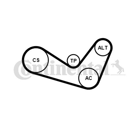 Kit de courroies d'accessoire CONTINENTAL CTAM