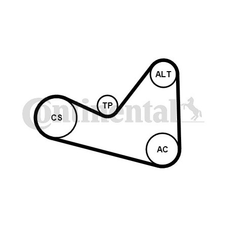Kit de courroies d'accessoire CONTINENTAL CTAM