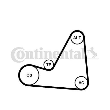 Kit de courroies d'accessoire CONTINENTAL CTAM