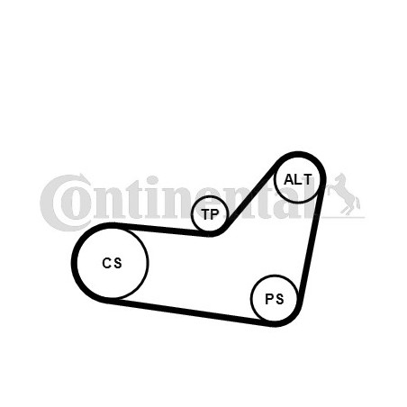 Kit de courroies d'accessoire CONTINENTAL CTAM