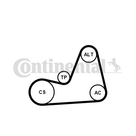 Kit de courroies d'accessoire CONTINENTAL CTAM