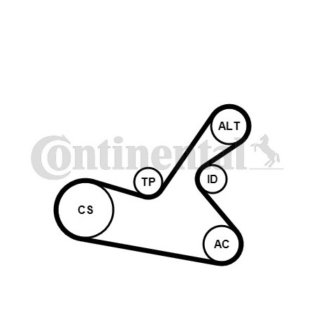 Kit de courroies d'accessoire CONTINENTAL CTAM