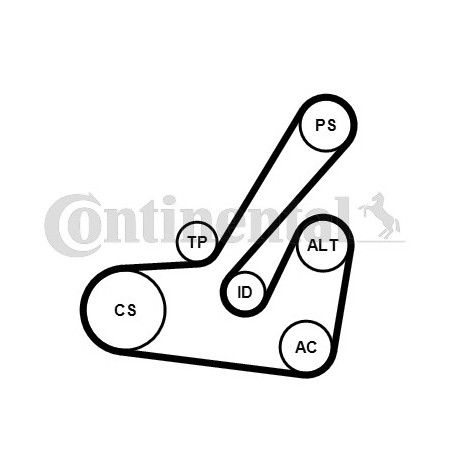 Kit de courroies d'accessoire CONTINENTAL CTAM