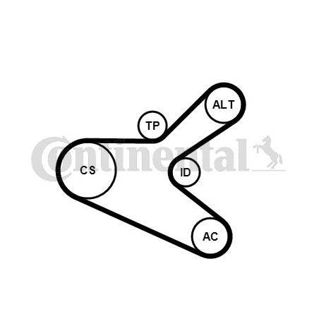 Kit de courroies d'accessoire CONTINENTAL CTAM