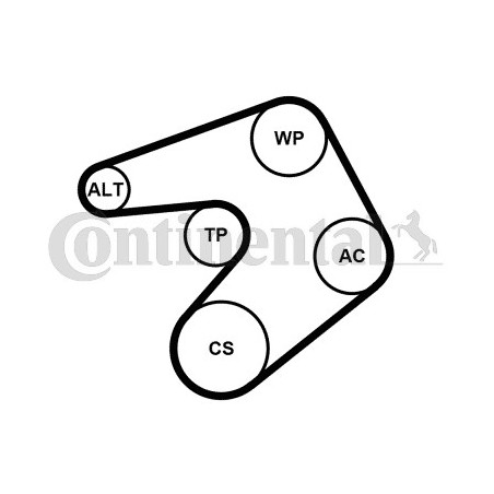 Kit de courroies d'accessoire CONTINENTAL CTAM