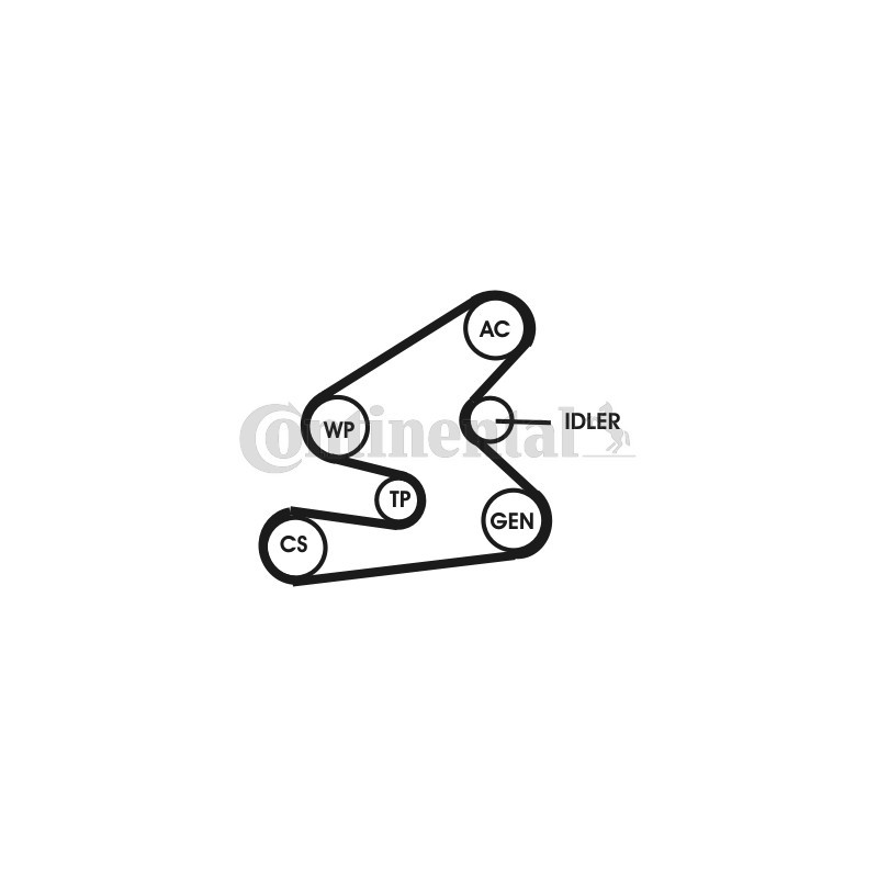 Kit de courroies d'accessoire CONTINENTAL CTAM