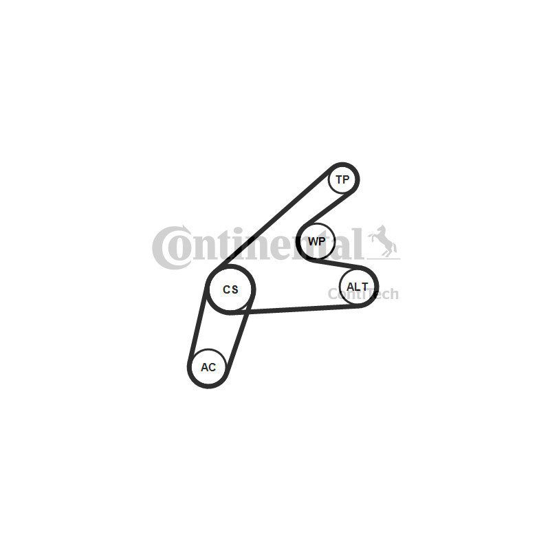 Kit de courroies d'accessoire CONTINENTAL CTAM