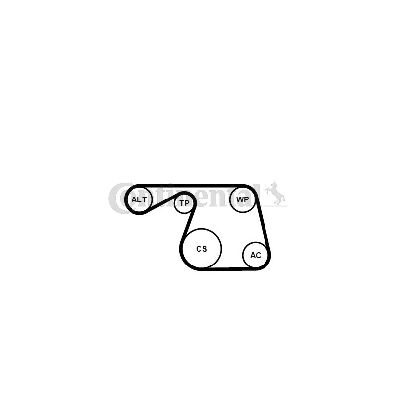 Pompe à eau+Jeu de courroie trapézoïdale à nervures CONTINENTAL CTAM