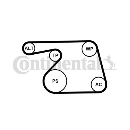 Pompe à eau+Jeu de courroie trapézoïdale à nervures CONTINENTAL CTAM