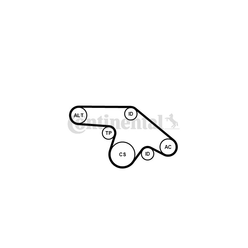 Kit de courroies d'accessoire CONTINENTAL CTAM