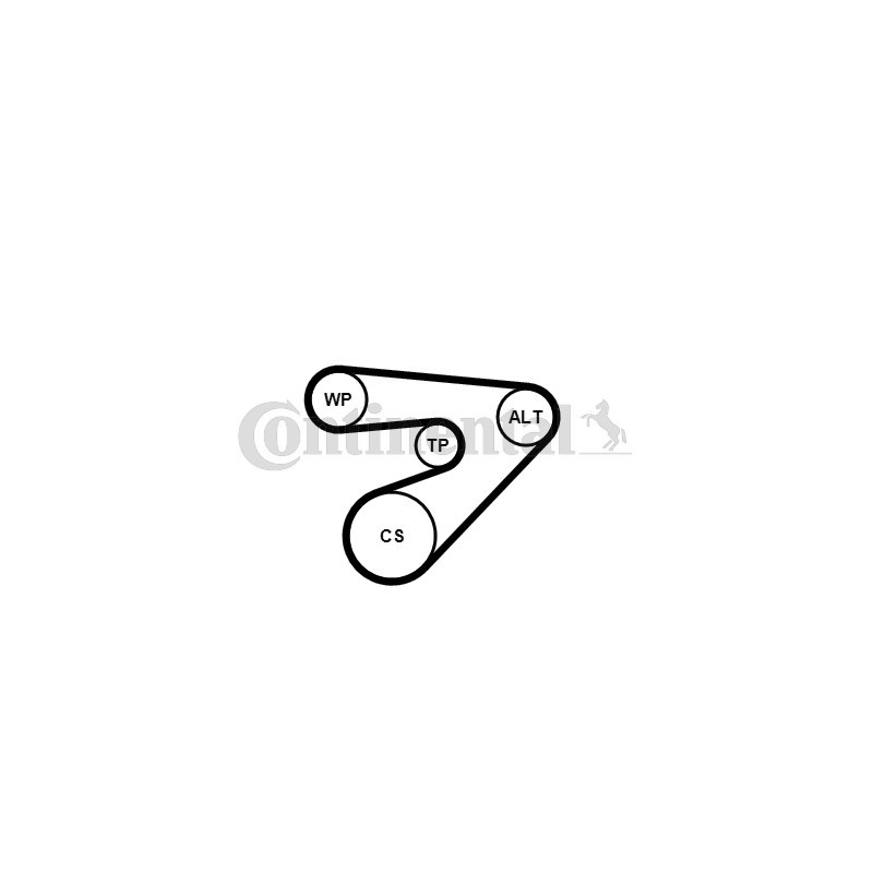 Kit de courroies d'accessoire CONTINENTAL CTAM