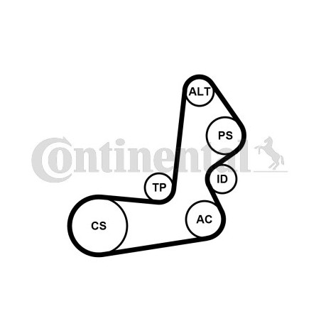 Kit de courroies d'accessoire CONTINENTAL CTAM