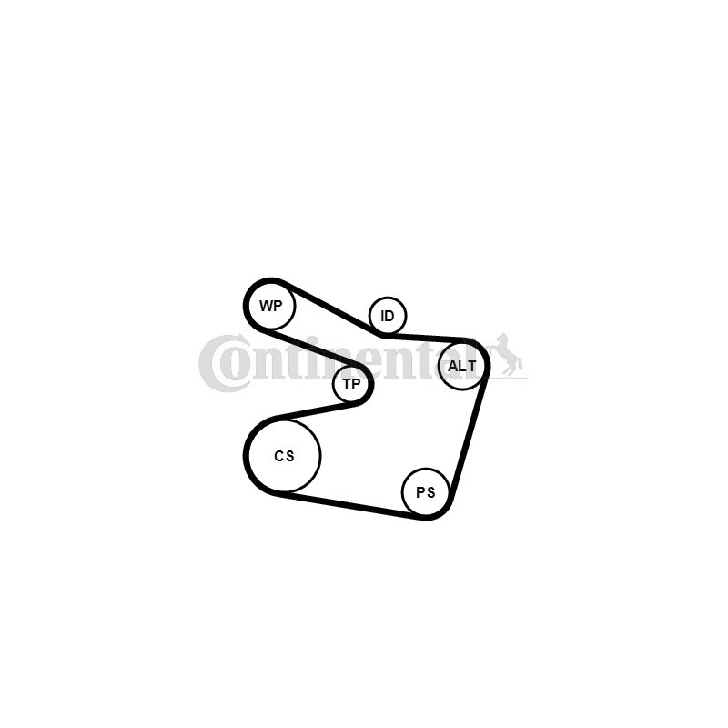 Kit de courroies d'accessoire CONTINENTAL CTAM