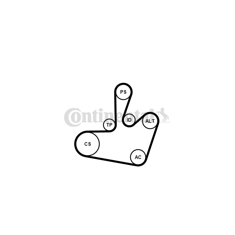 Kit de courroies d'accessoire CONTINENTAL CTAM