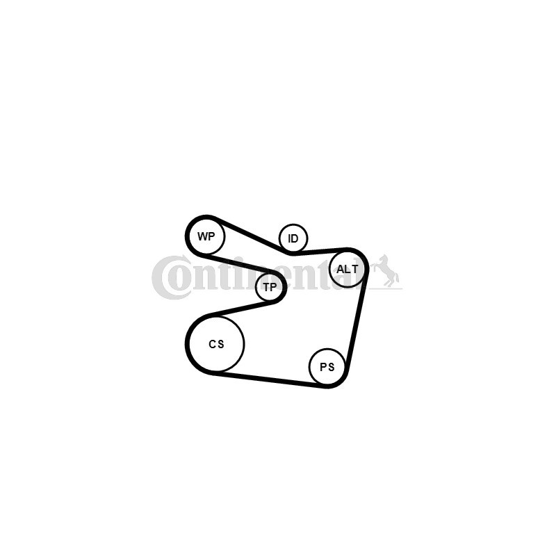 Pompe à eau+Jeu de courroie trapézoïdale à nervures CONTINENTAL CTAM