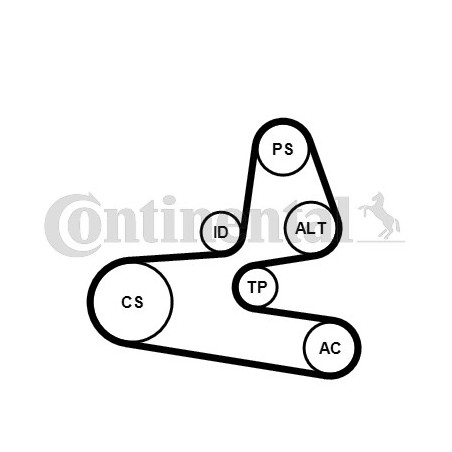 Kit de courroies d'accessoire CONTINENTAL CTAM