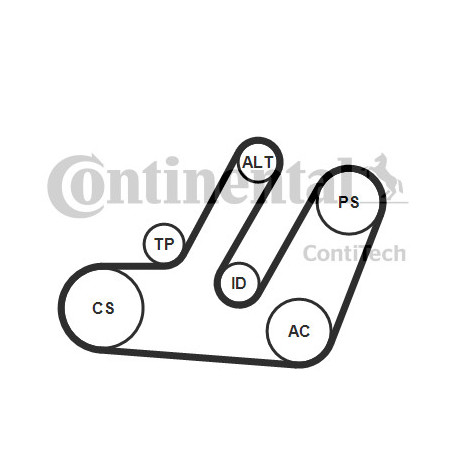 Kit de courroies d'accessoire CONTINENTAL CTAM