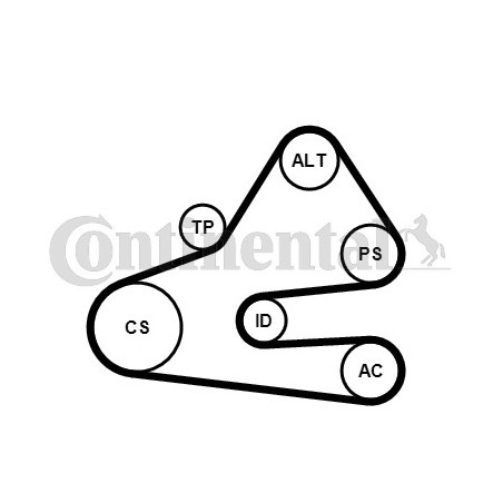 Kit de courroies d'accessoire CONTINENTAL CTAM