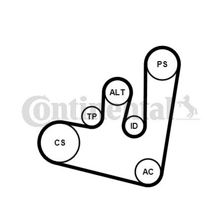 Kit de courroies d'accessoire CONTINENTAL CTAM