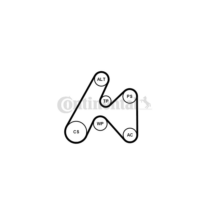 Kit de courroies d'accessoire CONTINENTAL CTAM