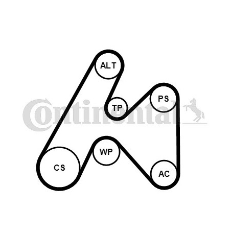 Kit de courroies d'accessoire CONTINENTAL CTAM