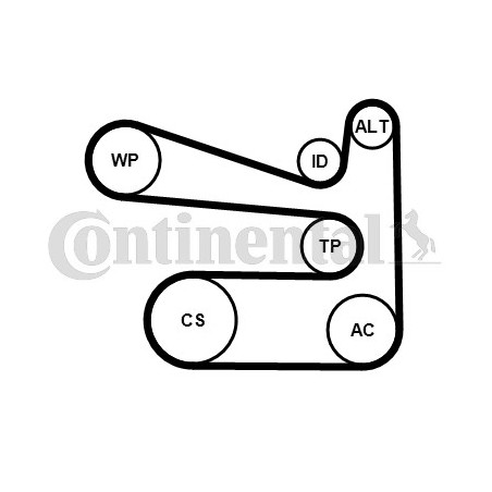 Pompe à eau+Jeu de courroie...