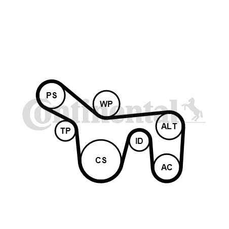 Kit de courroies d'accessoire CONTINENTAL CTAM