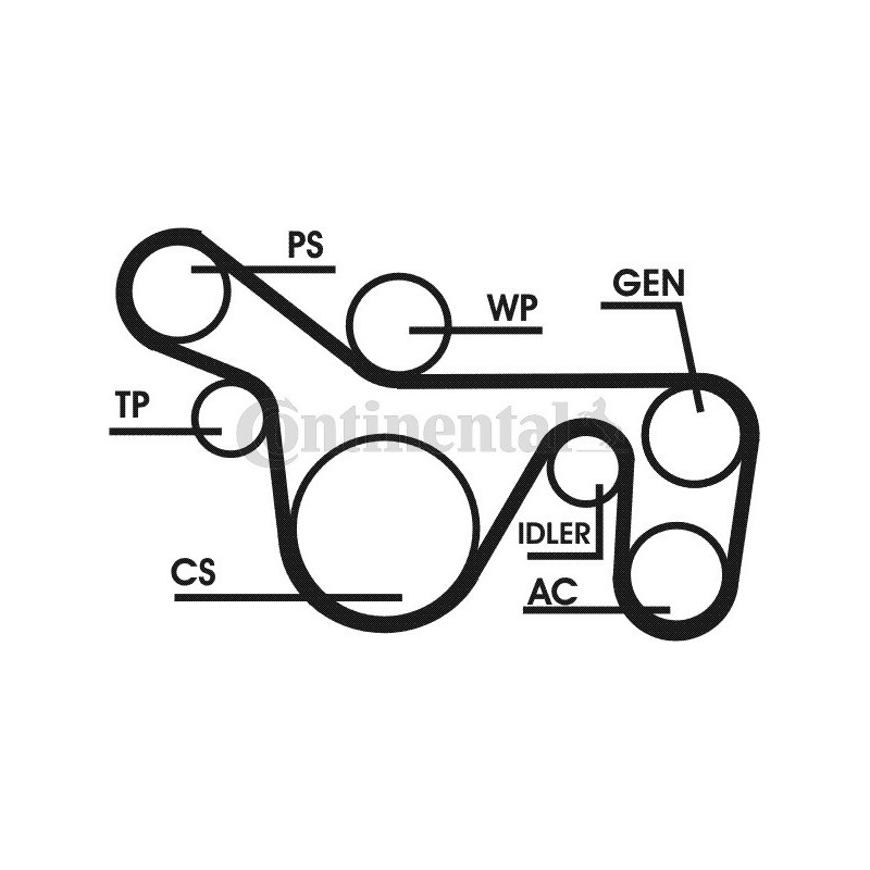 Kit de courroies d'accessoire CONTINENTAL CTAM