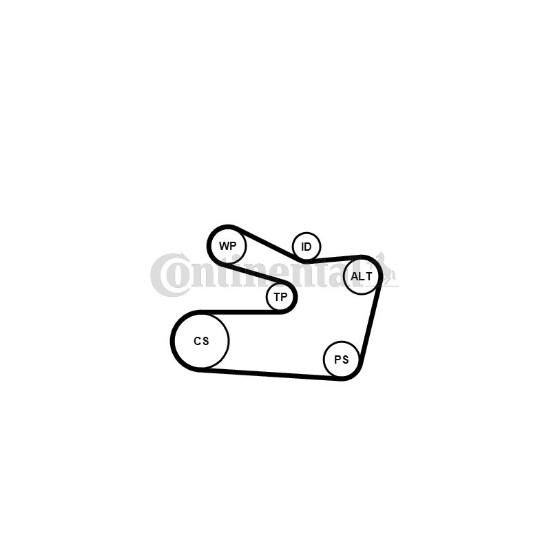 Kit de courroies d'accessoire CONTINENTAL CTAM