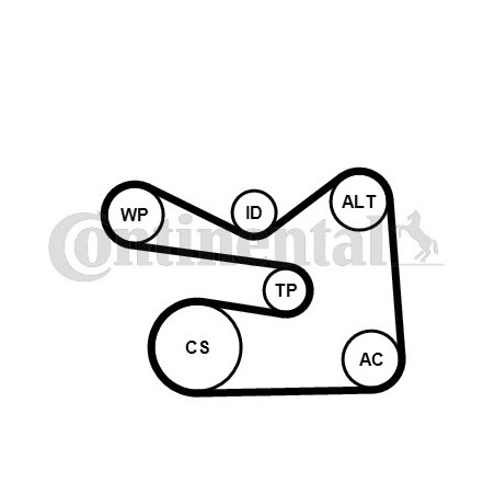 Pompe à eau+Jeu de courroie trapézoïdale à nervures CONTINENTAL CTAM