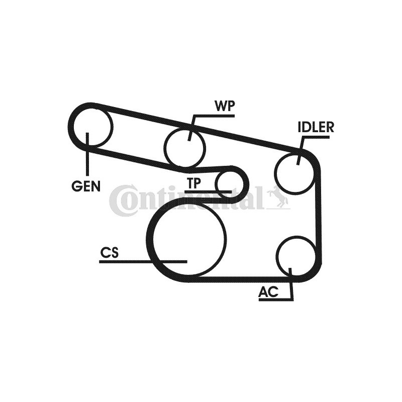 Kit de courroies d'accessoire CONTINENTAL CTAM