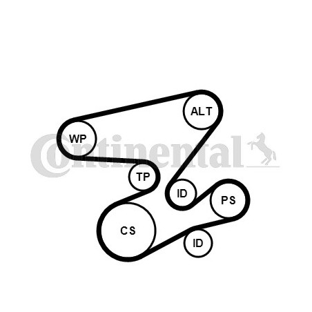Kit de courroies d'accessoire CONTINENTAL CTAM