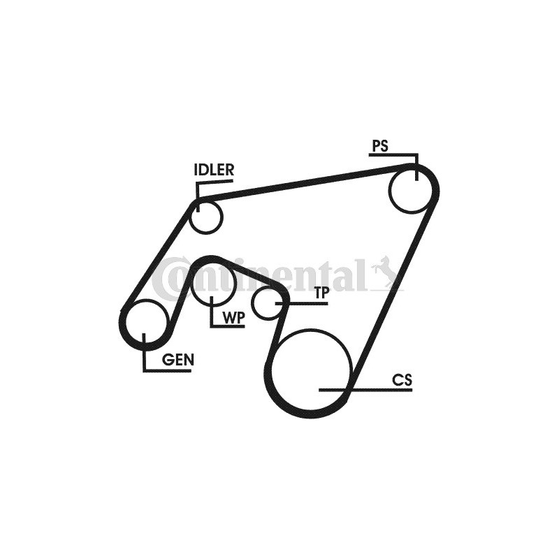 Kit de courroies d'accessoire CONTINENTAL CTAM