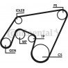 Kit de courroies d'accessoire CONTINENTAL CTAM
