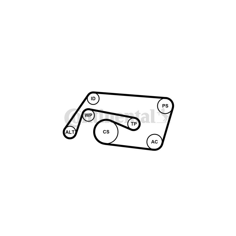 Kit de courroies d'accessoire CONTINENTAL CTAM