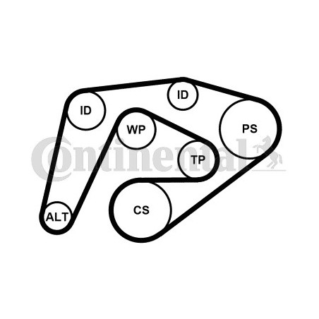 Kit de courroies d'accessoire CONTINENTAL CTAM
