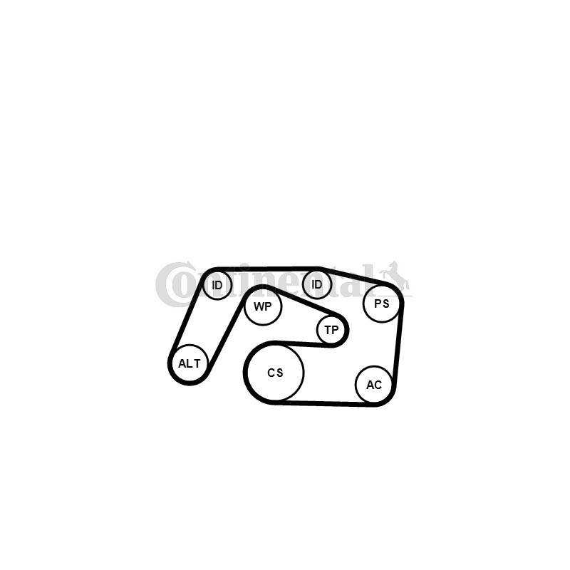 Kit de courroies d'accessoire CONTINENTAL CTAM