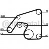 Kit de courroies d'accessoire CONTINENTAL CTAM