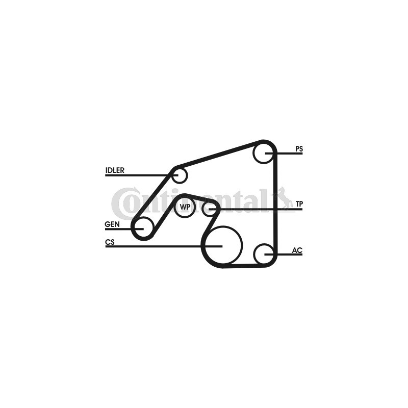 Kit de courroies d'accessoire CONTINENTAL CTAM