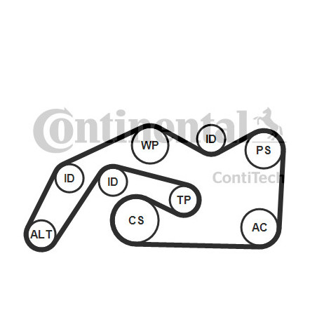 Kit de courroies d'accessoire CONTINENTAL CTAM